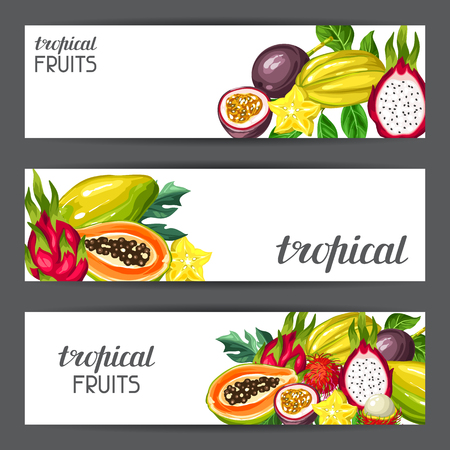 Banners with exotic tropical fruits. Illustration of asian plantsのイラスト素材