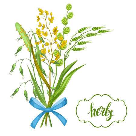 Bouquet with herbs and cereal grass. Floral design of meadow plantsのイラスト素材