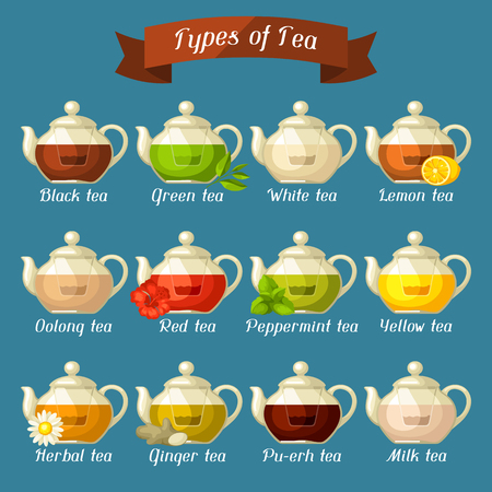 Types of tea.のイラスト素材