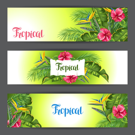 Banners with tropical leaves and flowers on gray background.のイラスト素材