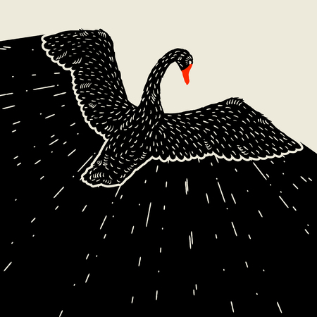 Background with flying black swan. Hand drawn bird.のイラスト素材