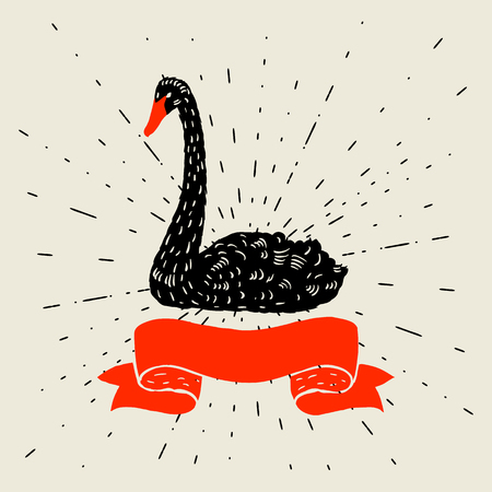 Background with floating black swan. Hand drawn bird.のイラスト素材