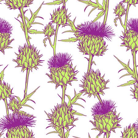 Seamless pattern with onopordum acanthium. Scottish thistle.のイラスト素材