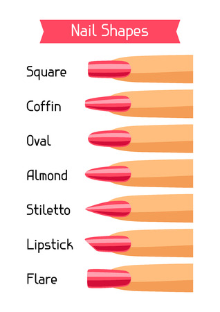 Acrylic nail shapes set. Various types of manicure.のイラスト素材