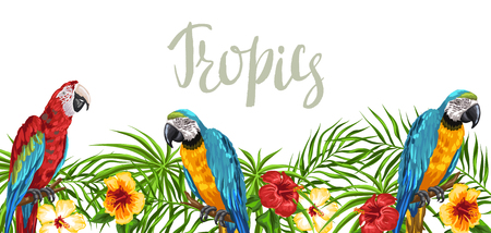 Tropical background with parrots. Palm leaves, hibiscus flowers and exotic birds.のイラスト素材