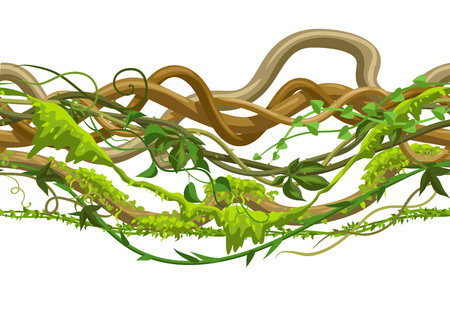 Twisted wild lianas seamless pattern. Jungle vines plants. Woody natural tropical rainforest.のイラスト素材