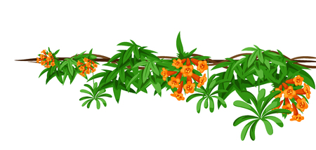 Twisted wild lianas branches background. Jungle vines plants. Woody natural tropical rainforest.のイラスト素材