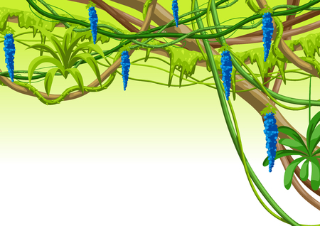Twisted wild lianas branches background. Jungle vines plants. Woody natural tropical rainforest.のイラスト素材