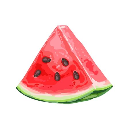 Illustration of ripe watermelon slice. Summer fruit in decorative style.のイラスト素材