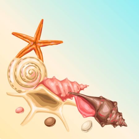 Background with seashells. Tropical underwater mollusk shells decorative illustration.のイラスト素材