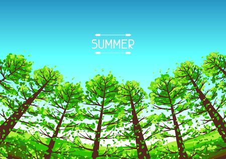 Summer forest background with stylized trees. Seasonal illustration.のイラスト素材