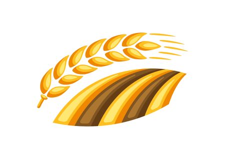Illustration of field with ripe wheat ear. Agricultural emblem.のイラスト素材