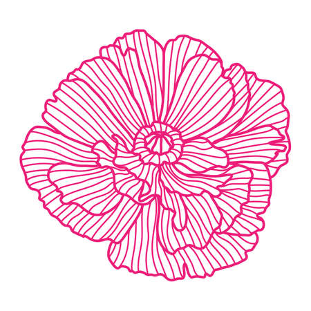 Illustration of poppy. Beautiful decorative stylized summer flower.のイラスト素材