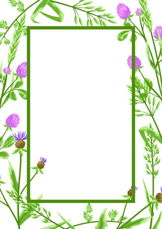 Frame with herbs and cereal grass. Floral design of meadow plants.のイラスト素材