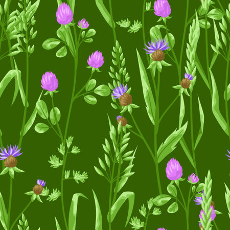 Seamless pattern with herbs and cereal grass. Floral ornament of meadow plants.のイラスト素材
