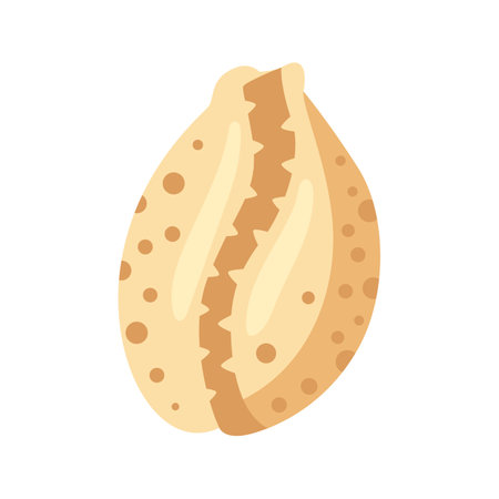 Illustration of seashell. Tropical underwater decorative mollusk shell.のイラスト素材