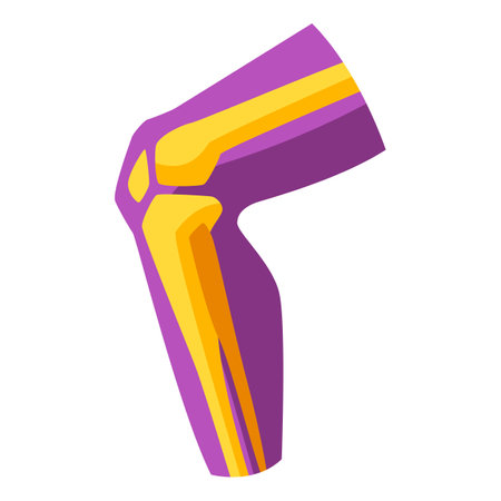 Illustration of human knee. Stylized conceptual image.のイラスト素材