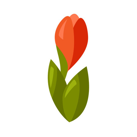 Illustration of young red flower. Season gardening image.のイラスト素材