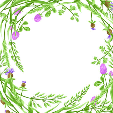 Frame with herbs and cereal grass. Floral design of meadow plants.のイラスト素材