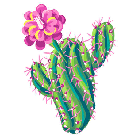 Illustration of cactus. Decorative spiky mexican cacti. Natural image.のイラスト素材