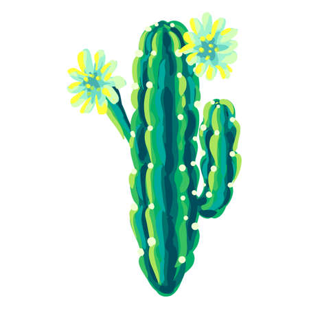 Illustration of cactus. Decorative spiky mexican cacti. Natural image.のイラスト素材