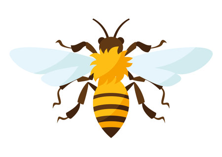 Illustration of stylized bee. Image or icon for food or production.のイラスト素材