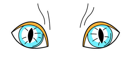 Illustration of blue cat eyes. Cartoon funny icon.のイラスト素材