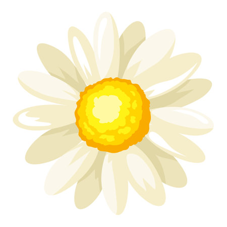 Illustration of chamomile flower. Adversting icon or image for industry and business.のイラスト素材