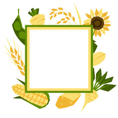 Background with agricultural crops. Harvesting stylized illustration. Vegetables and cereals.のイラスト素材