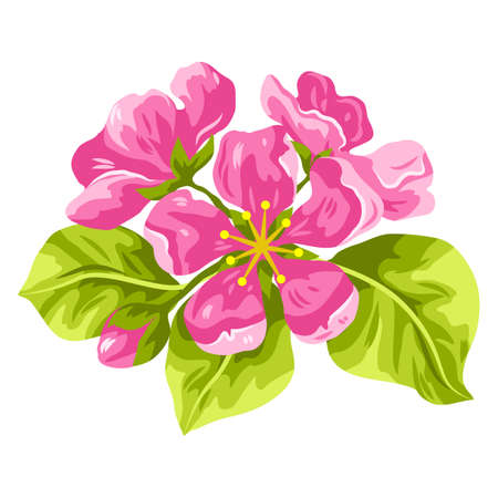 Illustration of beautiful sakura or cherry bud. Floral japanese blooming flower. Hand drawn plant for design and decoration.のイラスト素材