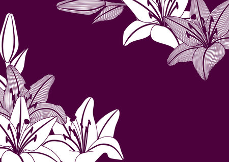 Background with stylized lily flowers. Decorative image of beautiful buds.のイラスト素材