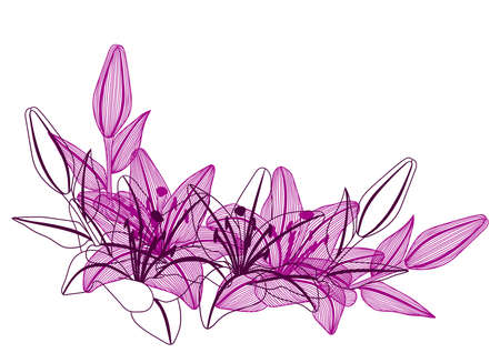 Frame with stylized lily flowers. Decorative image of beautiful buds.のイラスト素材