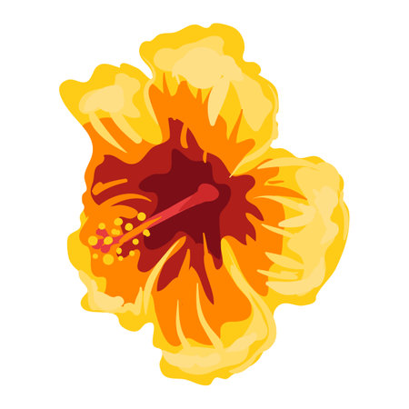 Stylized illustration of hibiscus flower. Image for design or decoration.のイラスト素材