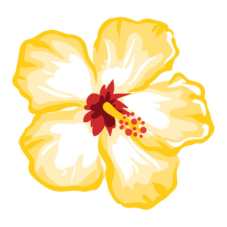 Stylized illustration of hibiscus flower. Image for design or decoration.のイラスト素材