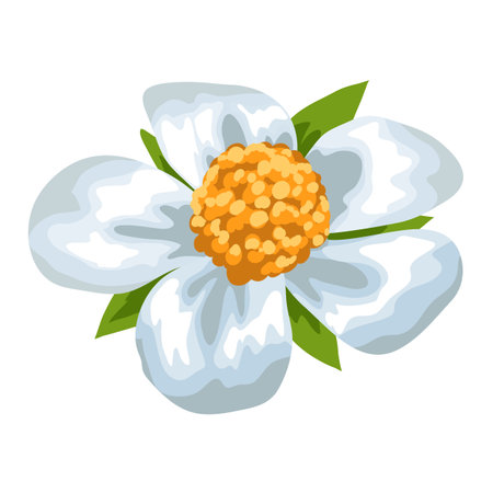 Stylized illustration of strawberry flower. Image for design or decoration.のイラスト素材