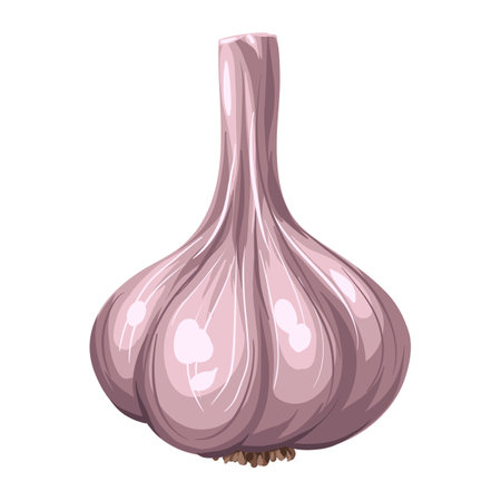 Stylized illustration of garlic. Image for design or decoration.のイラスト素材