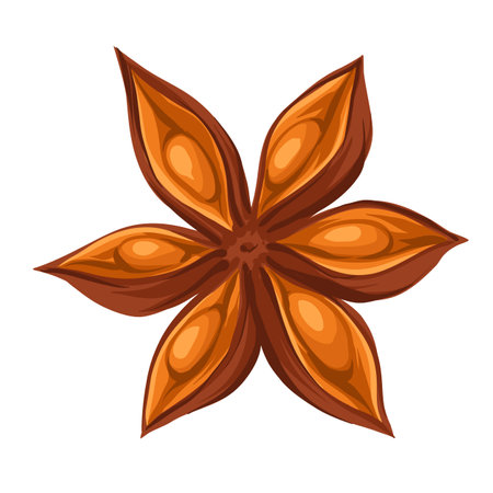 Stylized illustration of star anise. Image for design or decoration.のイラスト素材