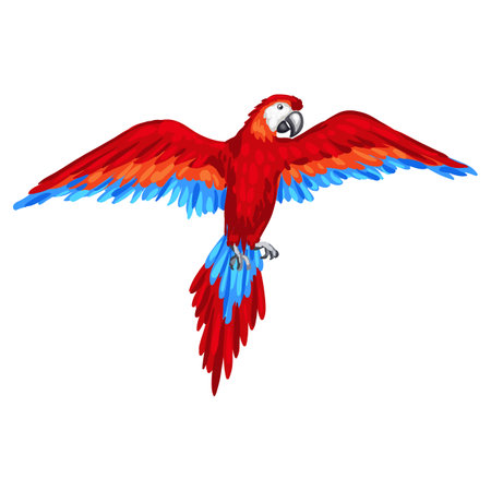 Stylized illustration of parrot. Image for design or decoration.のイラスト素材