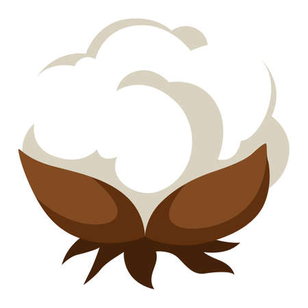 Stylized illustration of cotton inflorescence. Image for design or decoration.のイラスト素材