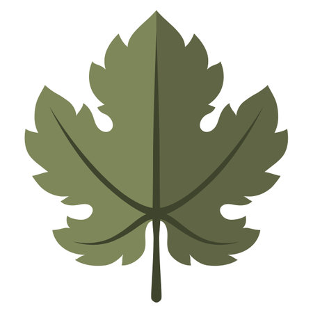 Stylized illustration of grapes leaf. Image for design or decoration.のイラスト素材