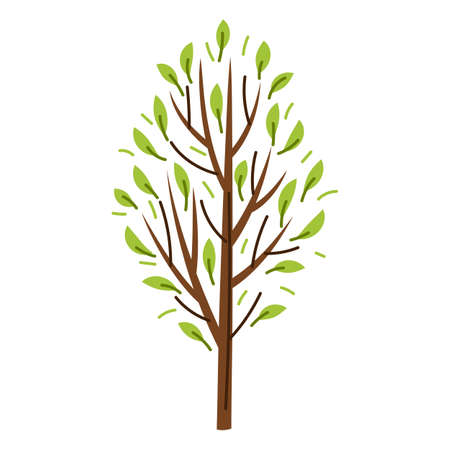 Spring or summer stylized tree with green leaves.のイラスト素材