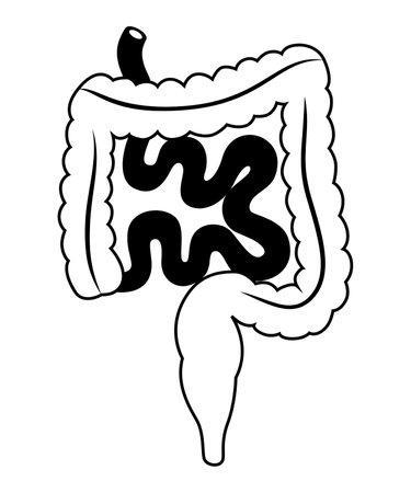 Illustration of intestines internal organ. Human body anatomy. Health care and medical education icon.のイラスト素材