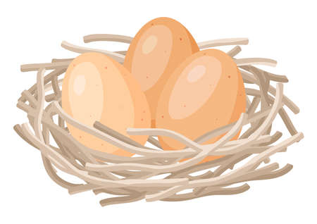 Illustration of brown chicken eggs in nest. Image for gastronomy, food and agricultural industries.のイラスト素材