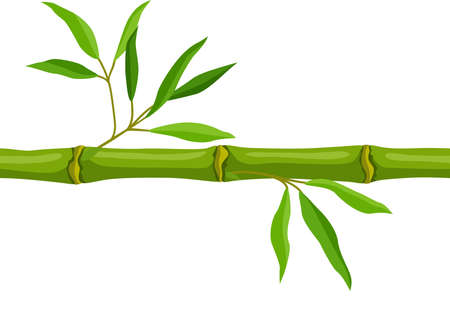 Seamless pattern with green bamboo stem and leaves. Decorative exotic plants of tropical jungle. natural illustration.のイラスト素材