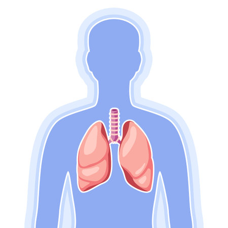 Illustration with lungs internal organ. Human body anatomy. Health care and medical education image.