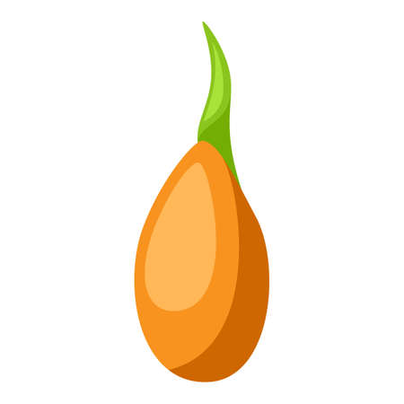 Illustration sprouting seed plant. Gardening or agricultural stylized image.のイラスト素材