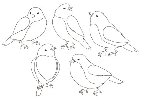 Set of stylized birds. Image of wild bird in linear style. vector icons.のイラスト素材
