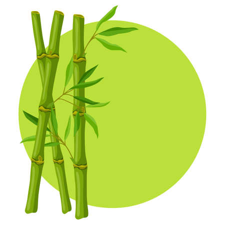 Background with green bamboo stems and leaves. Decorative exotic plants of tropical jungle. natural illustration.のイラスト素材