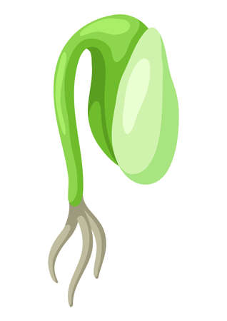 Young green sprout with roots. Agricultural planting illustration. Seasonal plantation image.のイラスト素材