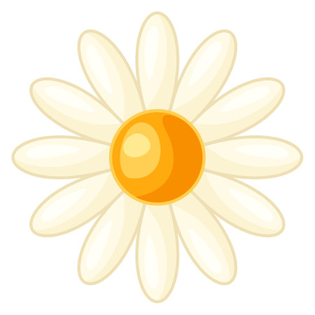 illustration of chamomile flower. Stylized image of plant for business and agricultural industry.のイラスト素材